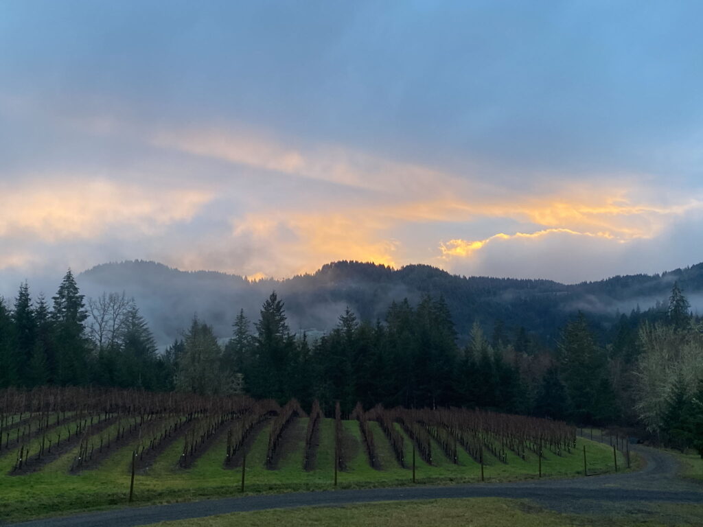 Ten Peaks Vineyard 10 acre vineyard, 55+ acre site, potential to build custom home Oregon
